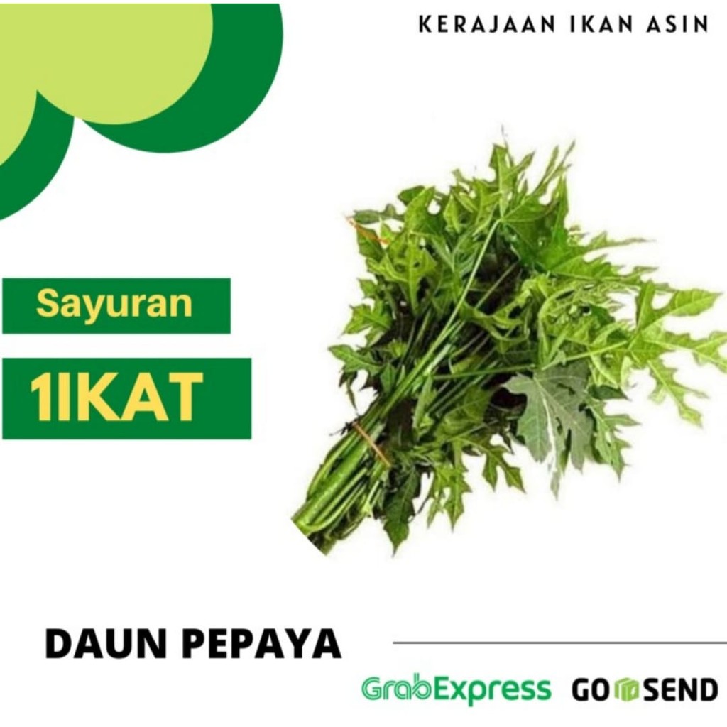 Jual Daun Pepaya 1 Ikat Shopee Indonesia 8106