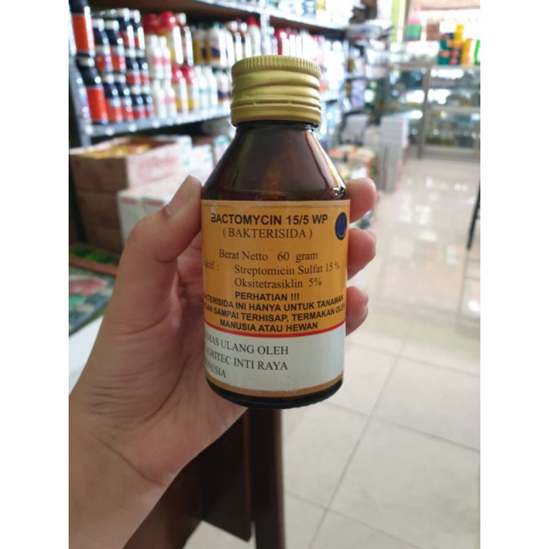 Jual bakterisida bactomycin 15/5wp isi 60 gram | Shopee Indonesia