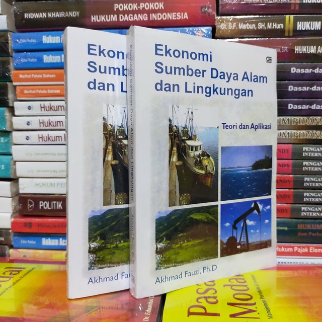 Jual Ekonomi Sumber Daya Alam Dan Lingkungan Oleh Akhmad Fauzi | Shopee ...