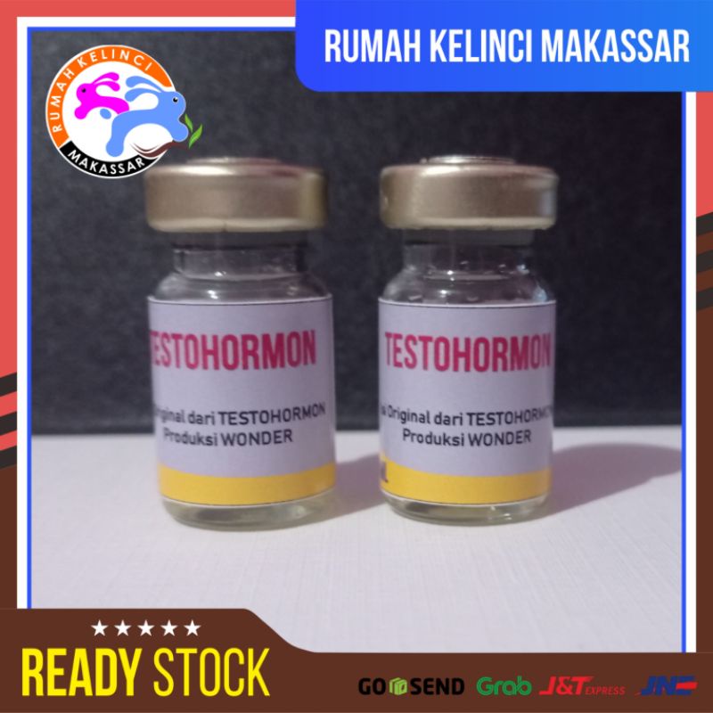 Jual Testohormon Hormon Hewan Kelinci Jantan 2.5ml | Shopee Indonesia