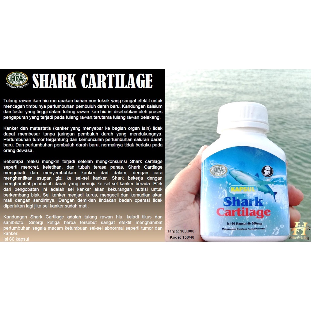 Jual SHARK CARTILAGE (IND) | Shopee Indonesia