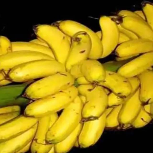 Jual 1 tandan pisang uli ukuran sedeng | Shopee Indonesia