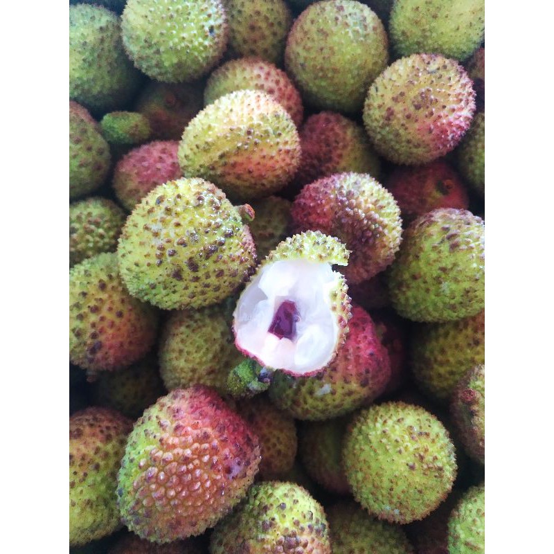 Jual Buah Leci Hijau Madu Manis Shopee Indonesia 0096