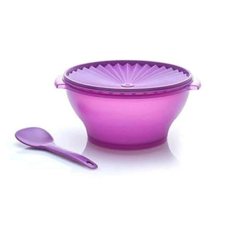 Jual Large rice bowl ungu Shopee Indonesia