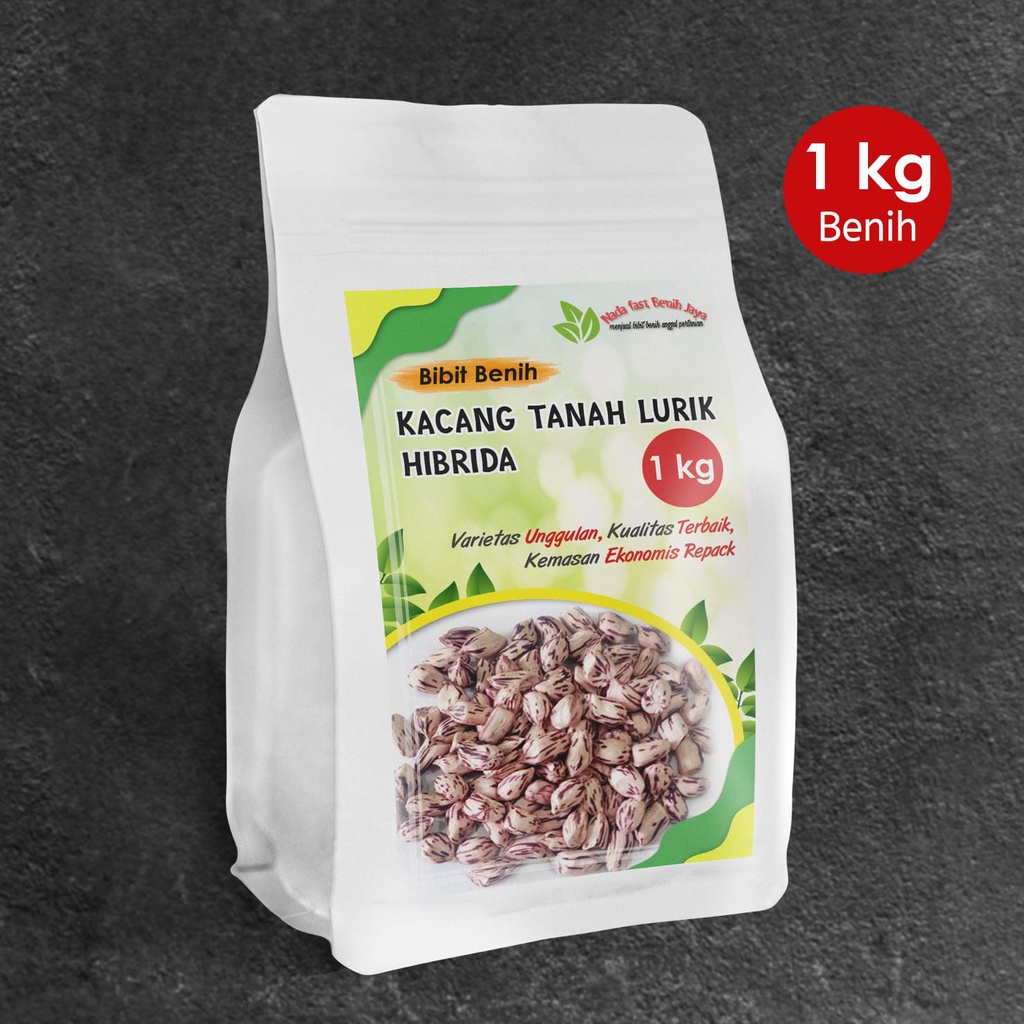 Jual 1 Kg Benih Kacang Tanah Lurik Bibit Kacang Tanah Madu Super Shopee Indonesia 0645