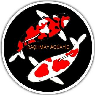 SERIKAN SESER IKAN AQUACAPE / CUPANG / HIAS NCU JENTIK NYAMUK MERAH