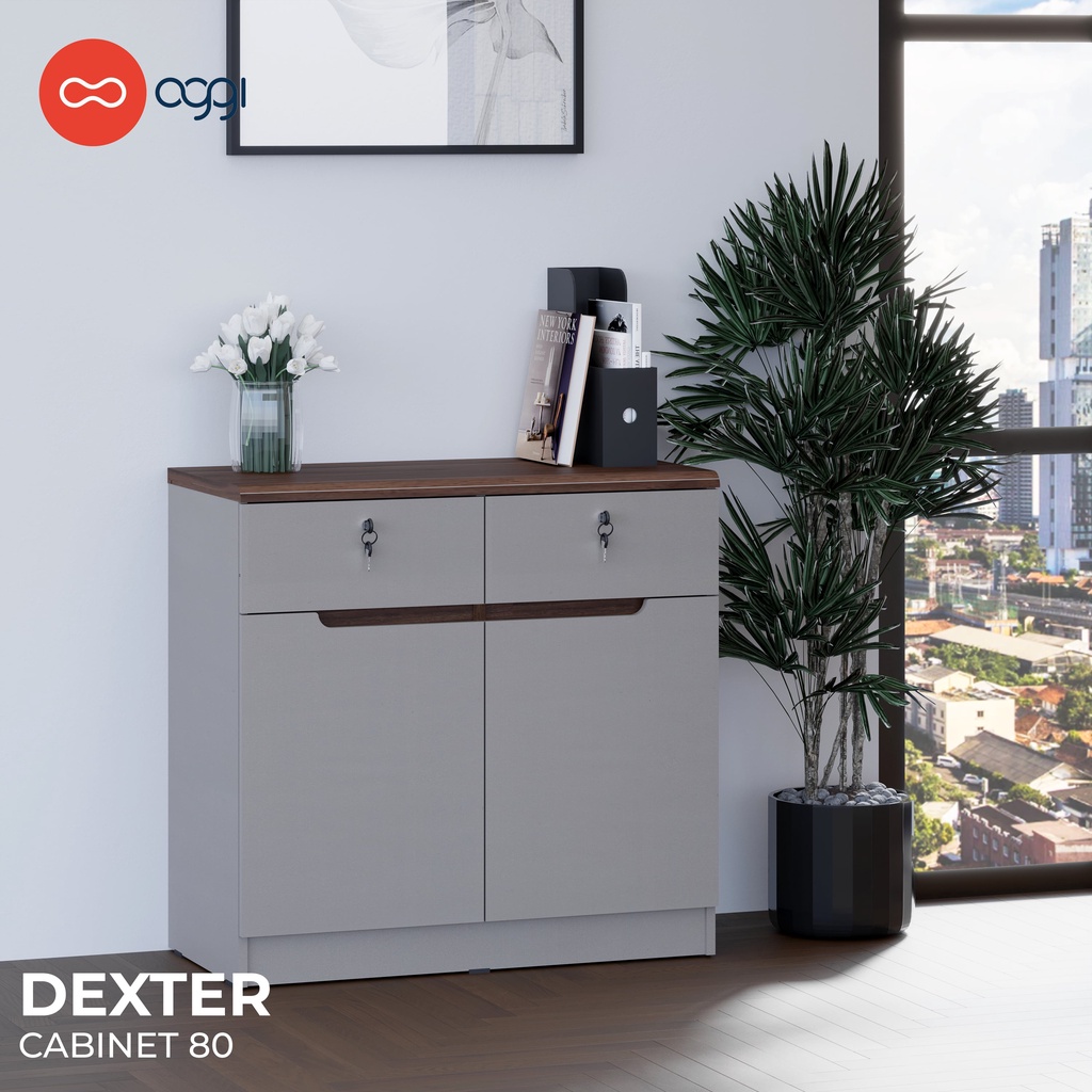 Dexter cabinet and countertop