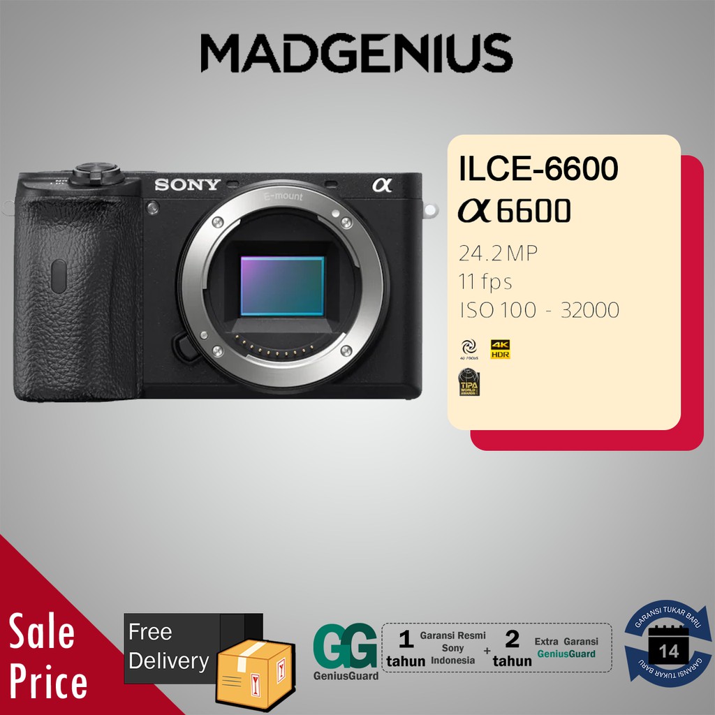Jual SONY A6600 / ILCE-6600 / Kamera Mirrorless Alpha A6600 Body Only ...