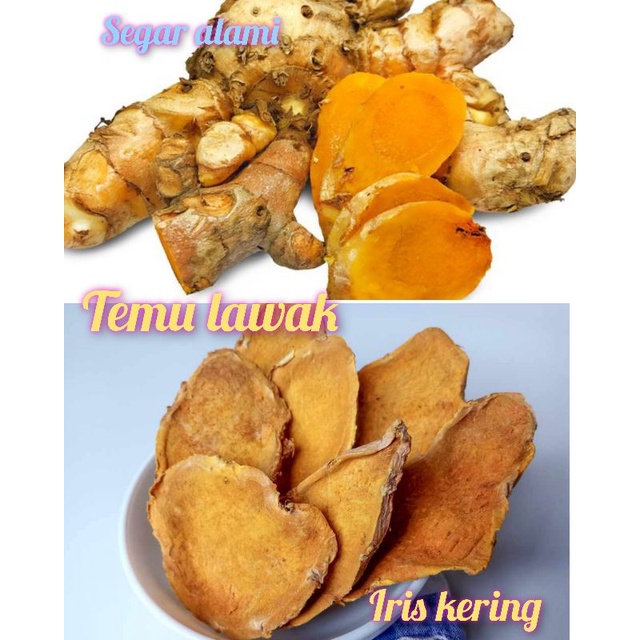 Jual Temu Lawak Jumbo Kering Premium 1kg Shopee Indonesia 6549