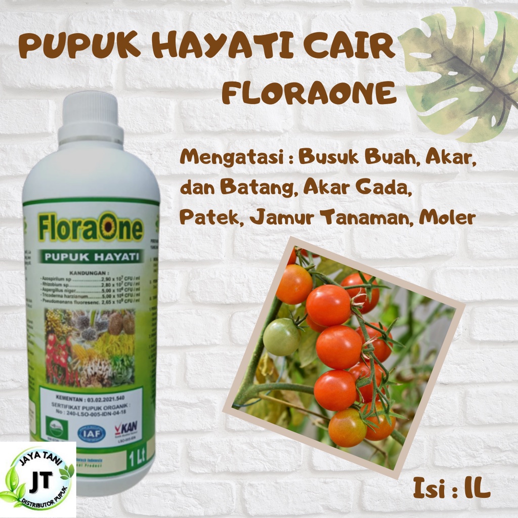 Jual Pupuk Hayati Trichoderma Floraone Fungisida Hayati Anti Layu Pada