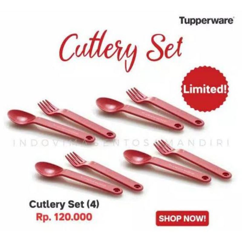 Jual Tupperware Cutlery Set Spoon And Fork 1 Pcs Sendok Garfu Makan Shopee Indonesia 1088