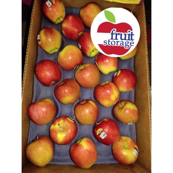 Jual Apel Ambrosia 900gr Import USA Fresh buah segar impor apple US ...