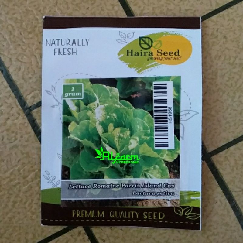 Jual Benih Selada Green Romaine Parris Island Cos Haira Seed Shopee