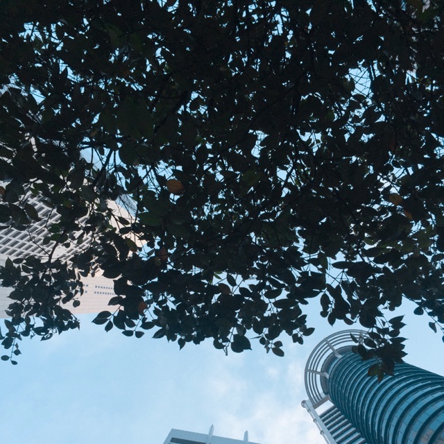 Jual Custom freebies @joyurii | Shopee Indonesia