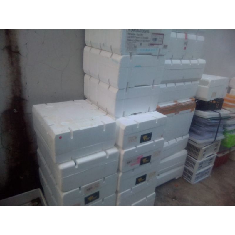Jual Box Styrofoam untuk hidroponik 60x40x14cm (box anggur ) Shopee