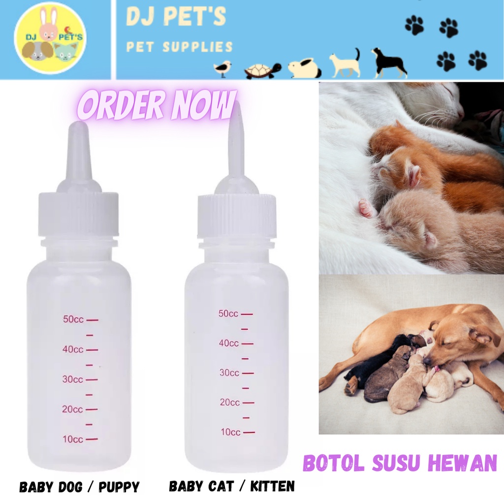 Jual Botol dot susu anak anjing kucing musang puppy kitten nursing