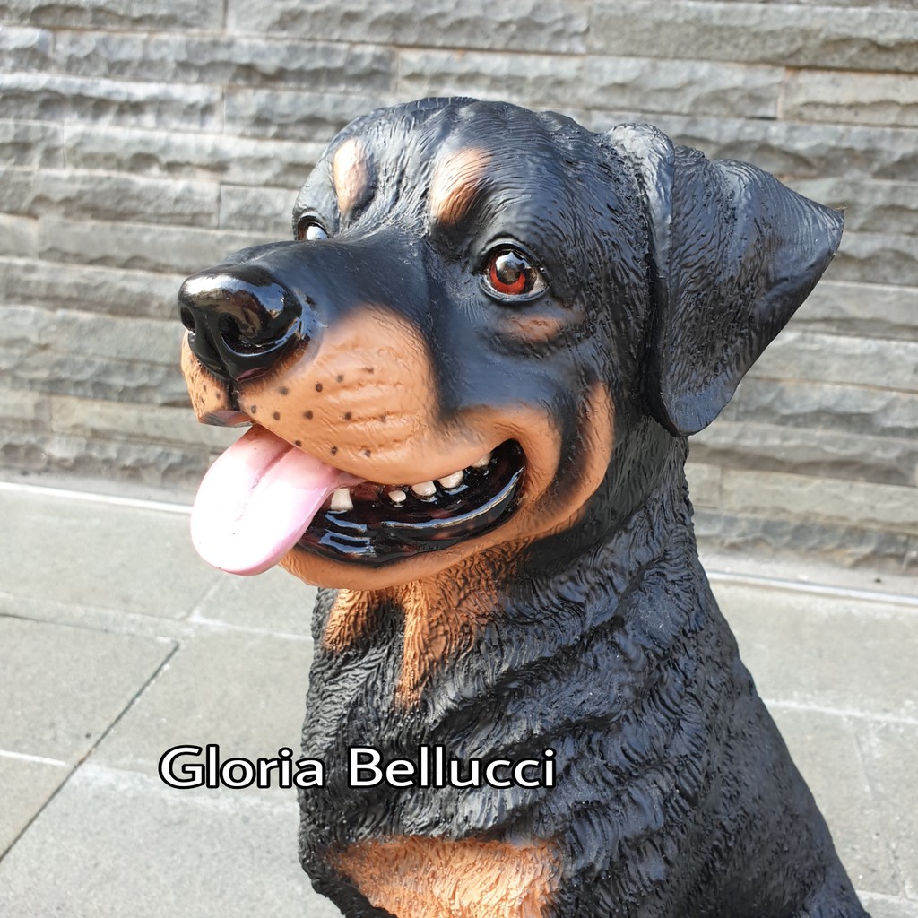 Jual Anjing Rottweiler Terlengkap & Harga Terbaru Juli 2026 | Shopee ...