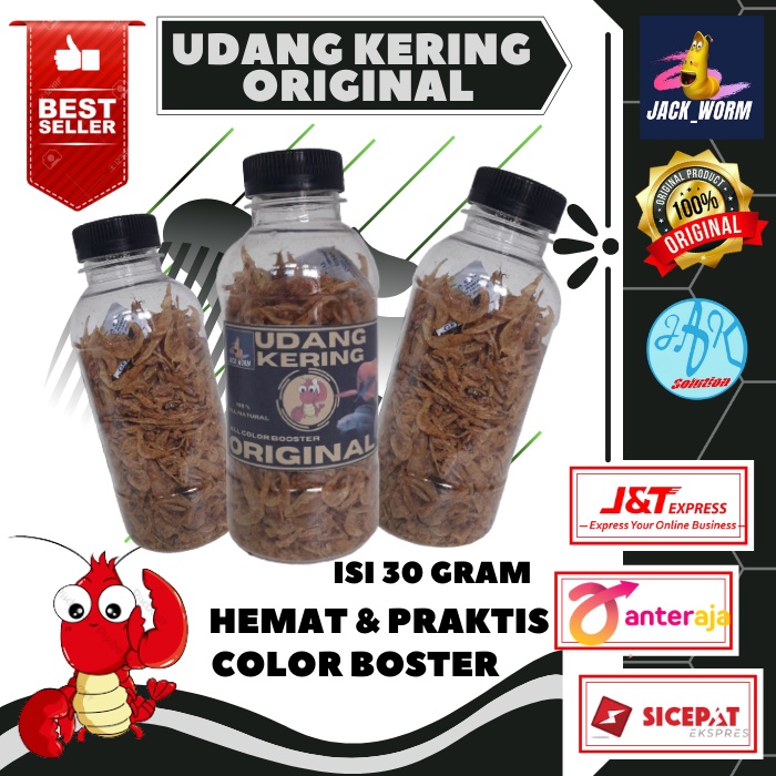 Jual Udang Kering Original Pakan Ikan Channa Maru Yellow Sentarum ...