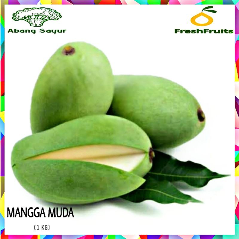 Jual Mangga Muda Rujak Mentah Segar 1kg Shopee Indonesia