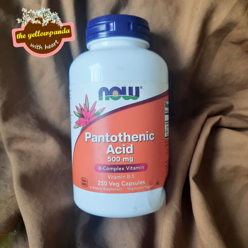 Jual Now Foods Pantothenic Acid 500 mg 250 Capsules Shopee Indonesia