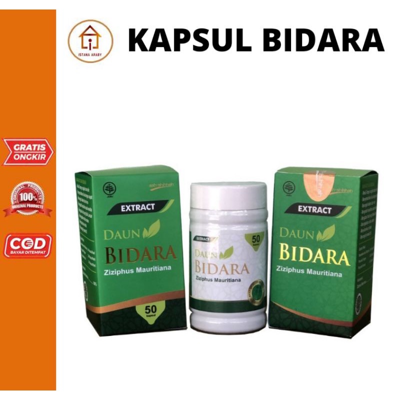 Jual Kapsul Daun Bidara Kapsul Extra Daun Bidara Ash Shihhah Original Shopee Indonesia