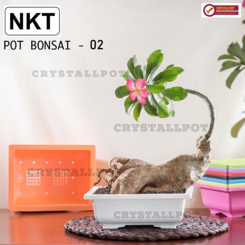 Jual POT BUNGA TANAMAN HIAS CEPER NKT BONSAI 02 KOTAK PUTIH BAHAN TEBAL ...