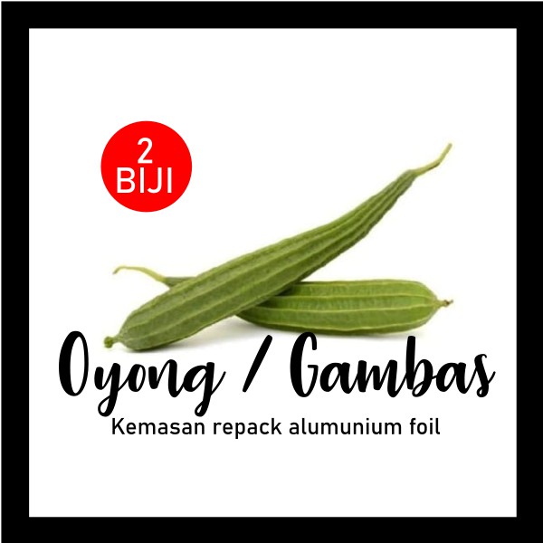 Jual 7 Biji Benih Oyong Gambas Hibrid Benih Sayuran Shopee Indonesia