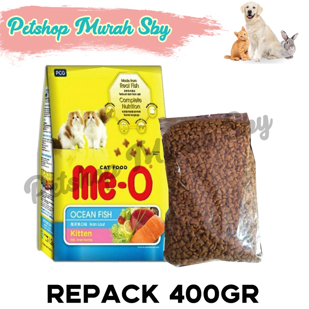 Dry food yang 2024 bagus untuk kitten