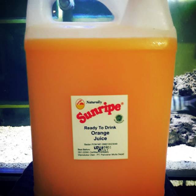 Jual Juice sunripe literan | Shopee Indonesia
