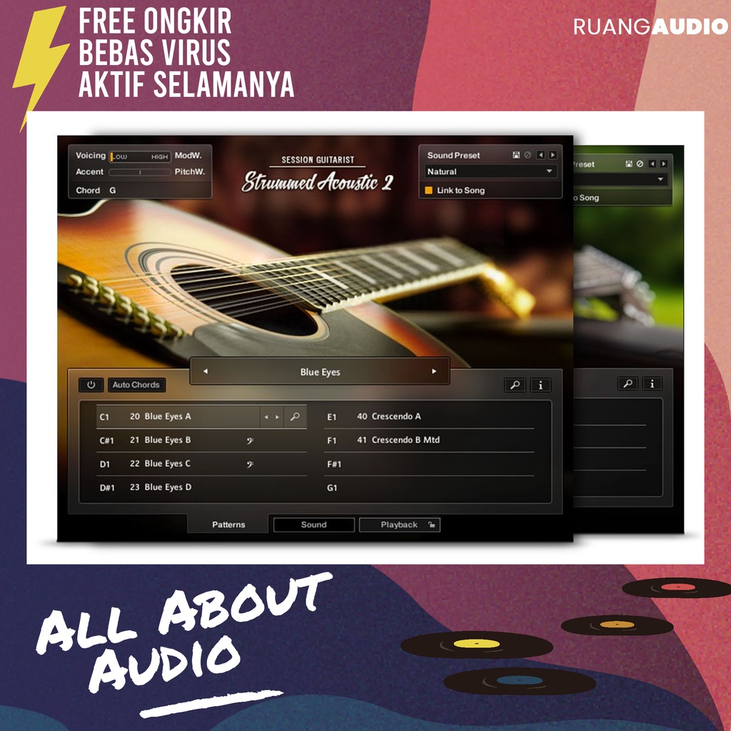 Jual Native Instrument Session Guitarist Strummed Acoustic 2