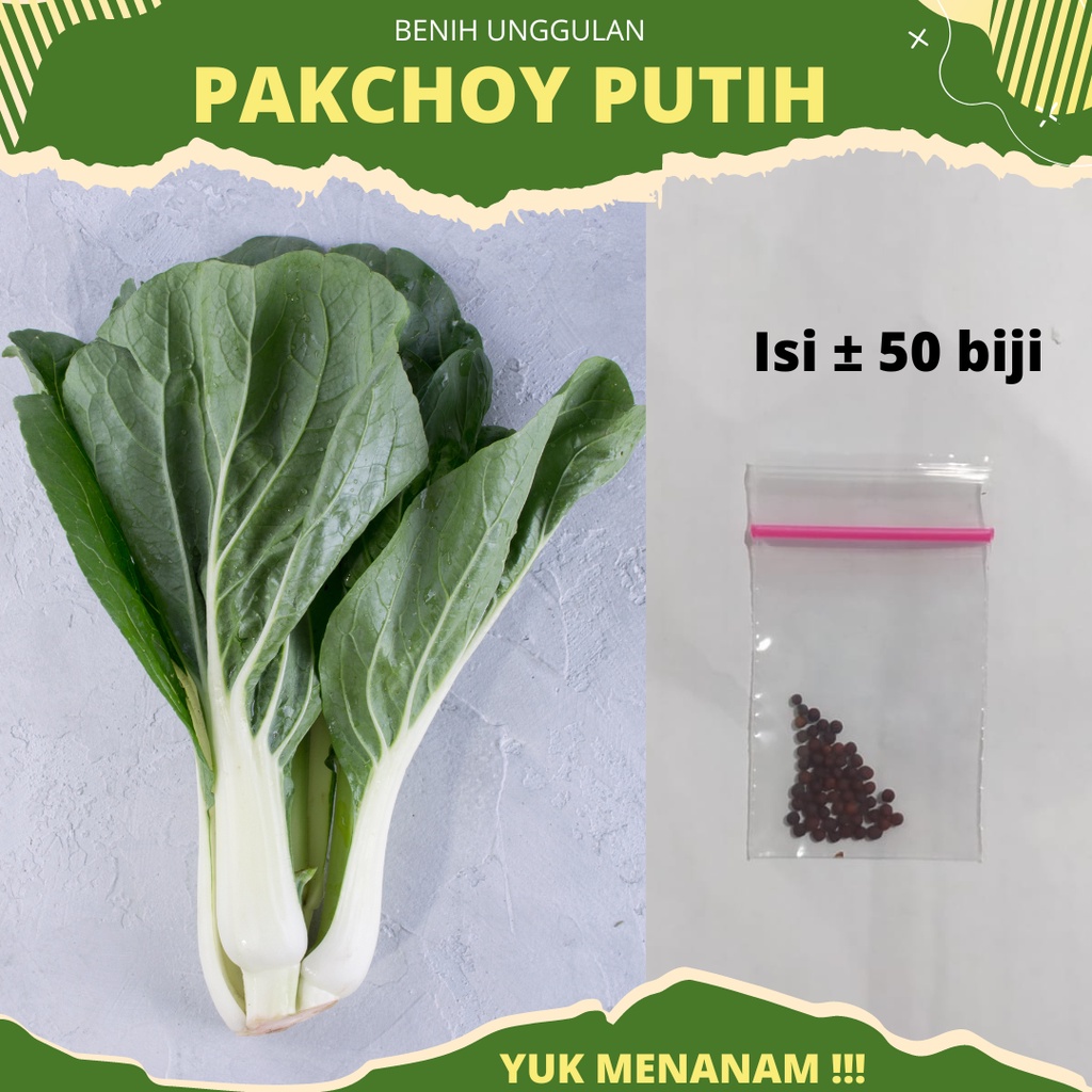 Jual 50 Biji Benih Sawi Daging Pakchoy Putih White Bokcoy F1 Shopee