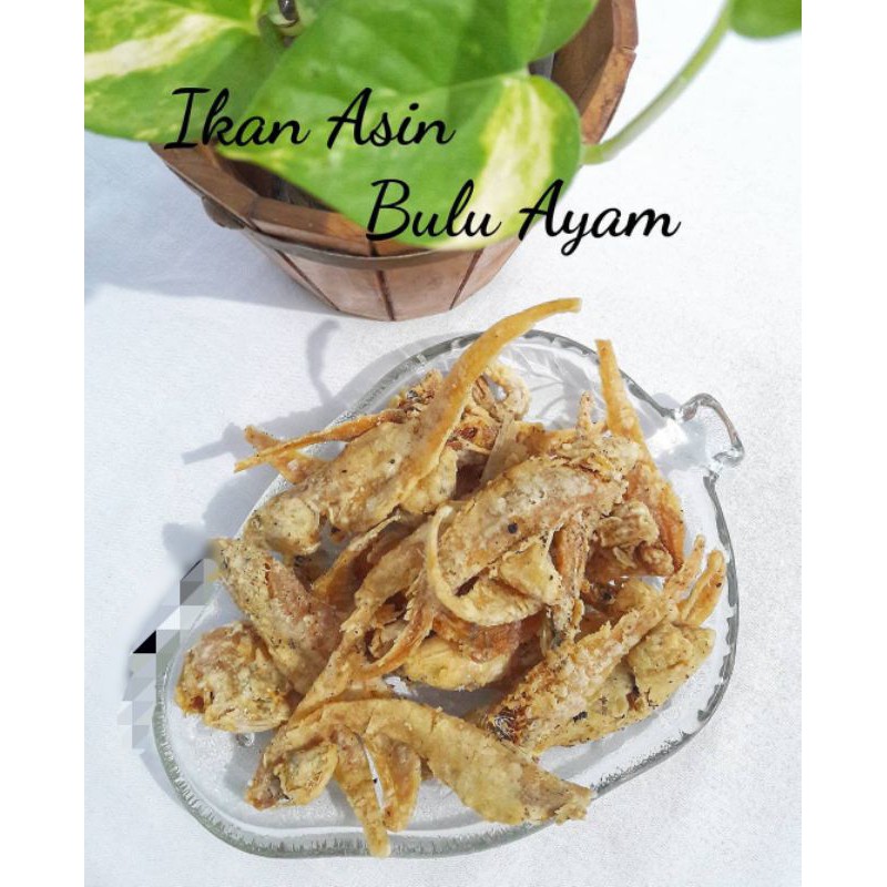 Jual ikan asin bulu ayam 100 gram murah | Shopee Indonesia