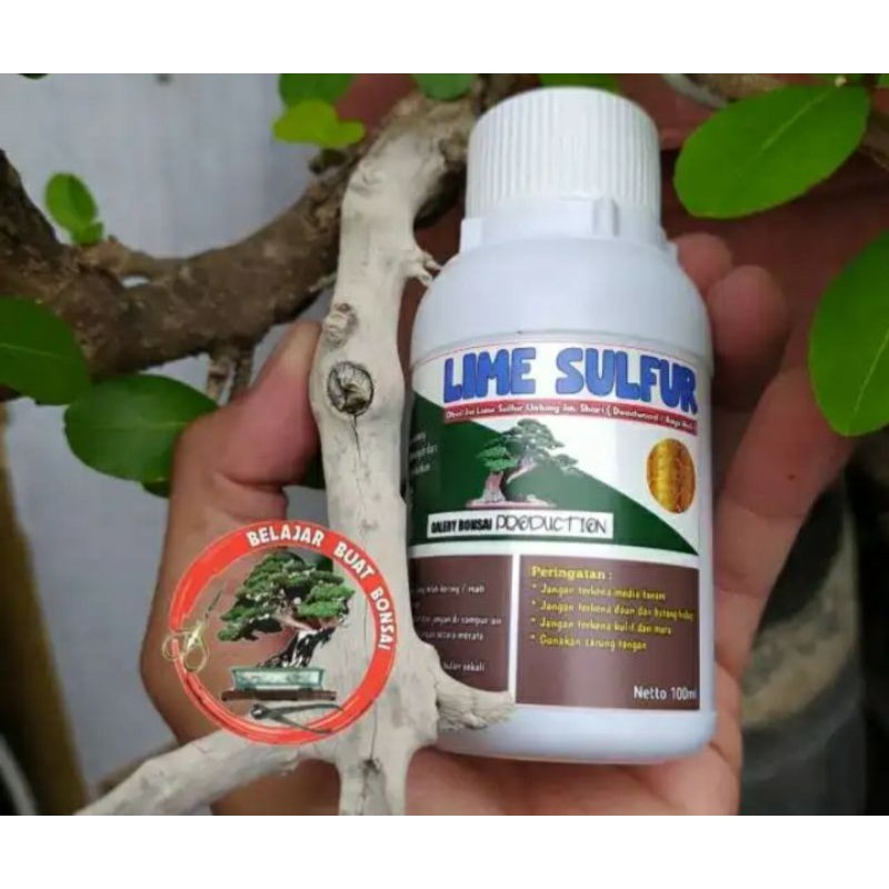Jual LIME SULFUR BONSAI OBAT JIN KEMASAN 100ml Shopee Indonesia
