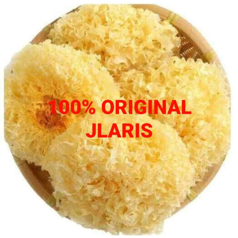 Jual Jamur Salju Jamur Putih Snow White Fungus 100g Shopee Indonesia