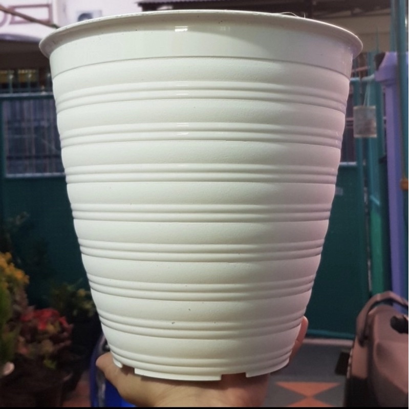 Jual Pot Tawon Putih Tirus Panjang Ukuran Shopee Indonesia