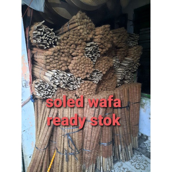 Jual TURUS BAMBU PENYANGGA TANAMAN RAMBAT 60 cm | Shopee Indonesia
