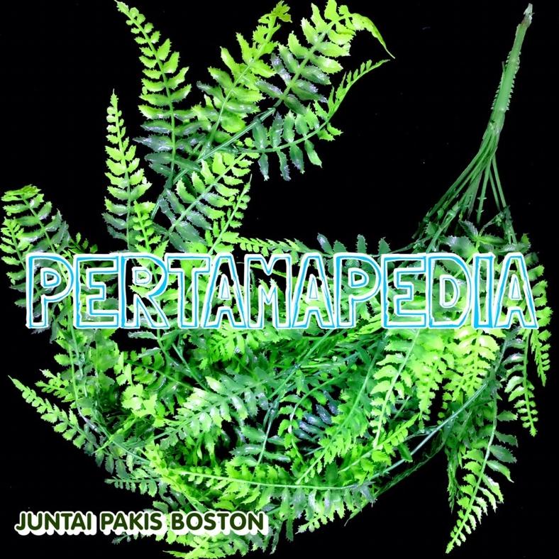 Jual Juntai Pakis Boston/ Bunga Plastik/ Daun Rambat Plastik/ Bunga ...