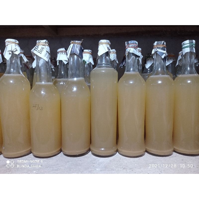Jual starter nata de pina / nanas Acetobacter xylinum 400ml Shopee