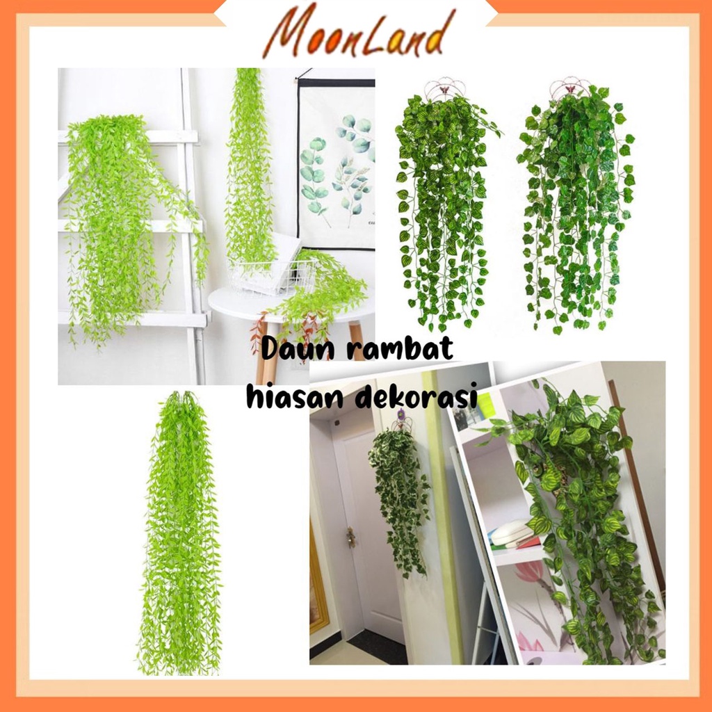 Jual MoonLand Daun Rambat /Daun Juntai Plastik Tanpa Pot Bunga Rambat ...