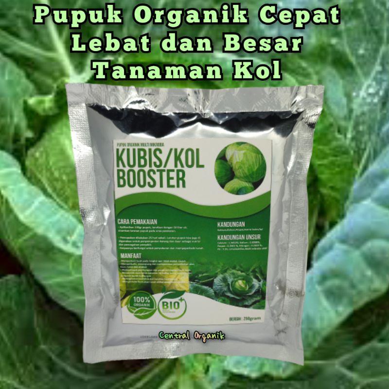 Pupuk Kol Cepat Besar Pupuk Organik Khusus Tanaman Kol Pupuk Penyubur Tanaman Kol Pupuk Anti Hama Kol