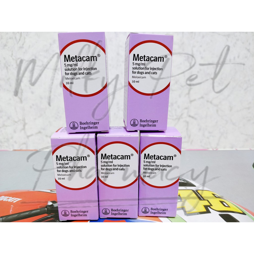 Jual METACAM 5MG 10ML INJECTION | Shopee Indonesia