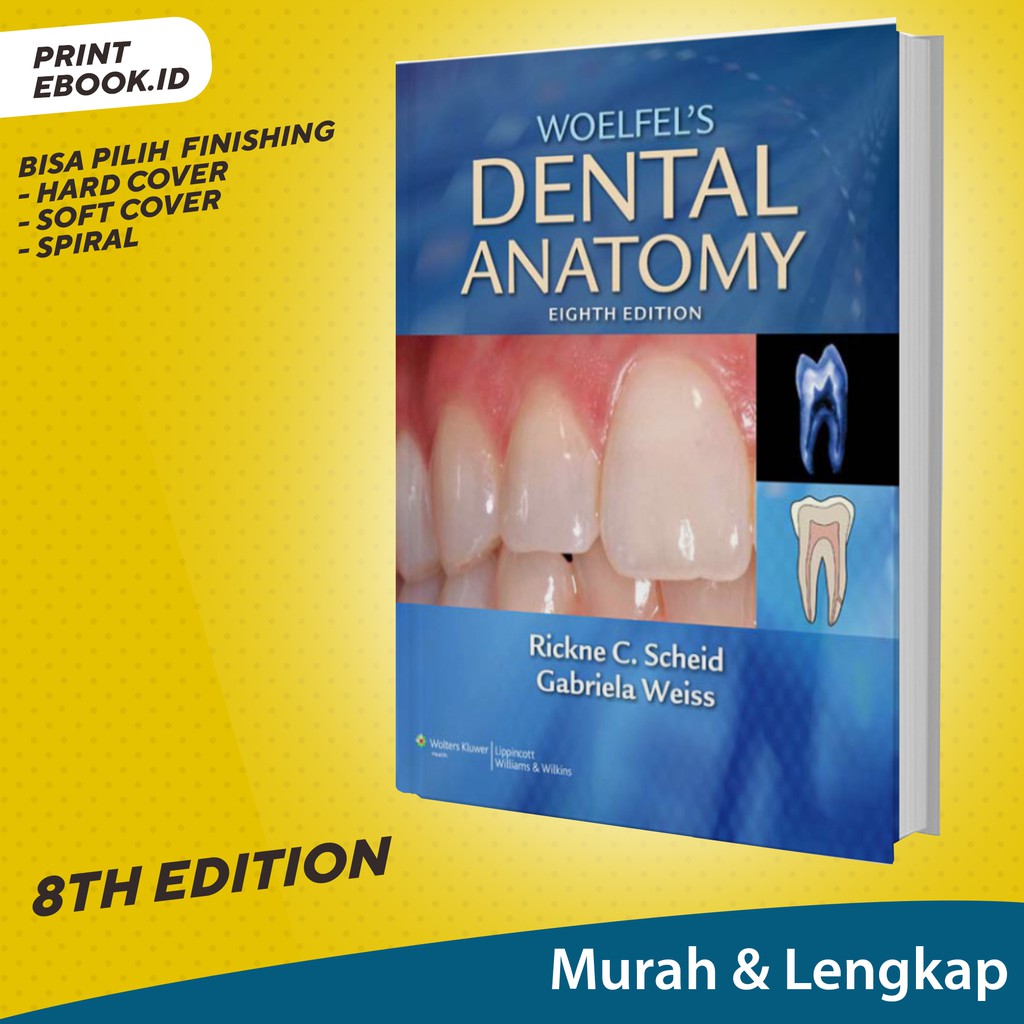 Edition　by　Its　to　SELLER)　Indonesia　Weiss　Relevance　Woelfels　(BEST　G.　Anatomy　Scheid,　Dentistry　R.　Dental　Jual　Shopee