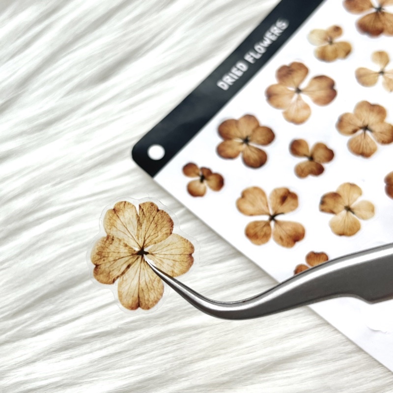 Jual [DF] DRY FLOWERS STICKER | JOURNAL STICKER | Shopee Indonesia