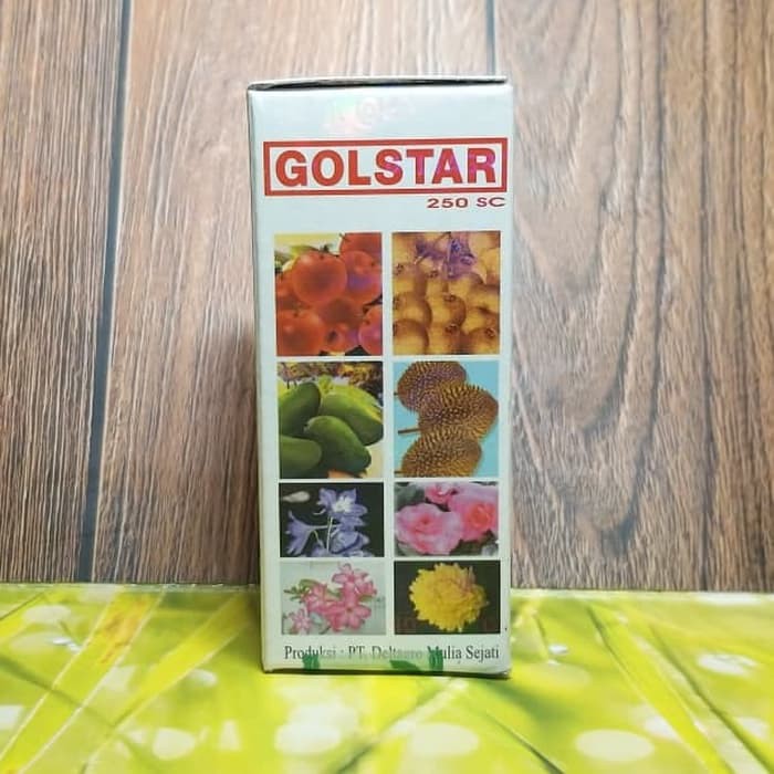 Golstar pupuk untuk mempercepat pertumbuhan bunga dan buah