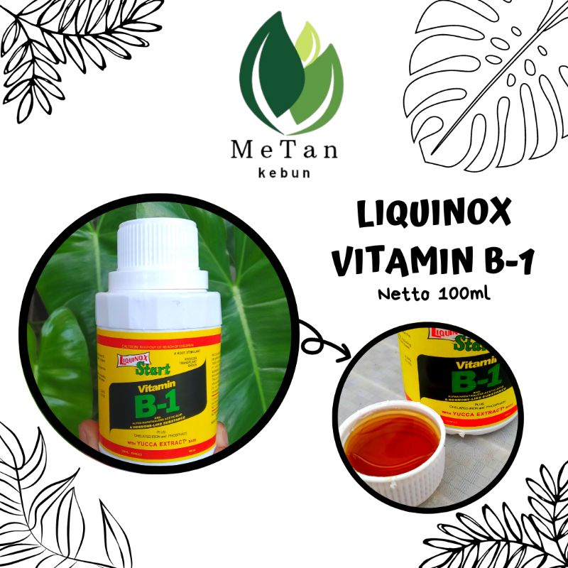 Jual Liquinox Vitamin B1 Anti Stress Untuk Tanaman Hias Isi 100 Ml ...