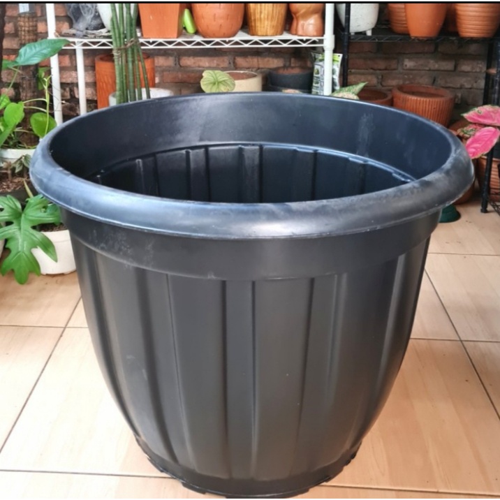 Jual POT TANAMAN BESAR JUMBO HITAM 70 POT BESAR UKURAN 70 MURAH ...