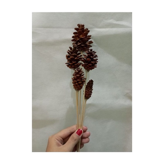 Jual BUNGA PINUS TANGKAI BESAR (HARGA PER TANGKAI) | Shopee Indonesia