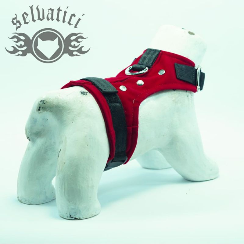 Jual TALI TUNTUN HEWAN HARNESS ROMPI HERNESS UNTUK MUSANG KUCING OTTER ...