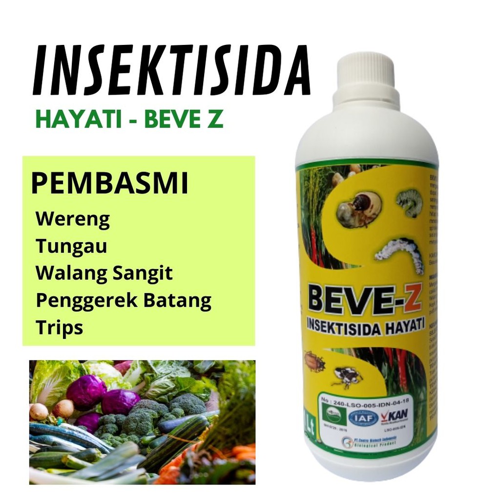 Jual Insektisida Hayati Beauveria Basiana BEVE Z 1L, INSEKTISIDA Alami ...