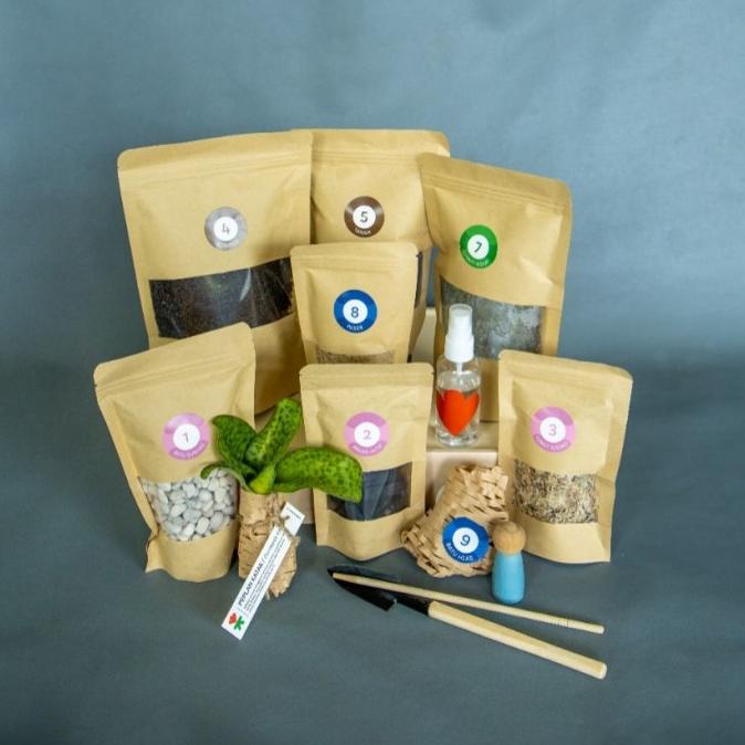 Jual Sebumi DIY Terrarium Starter Kit | Shopee Indonesia